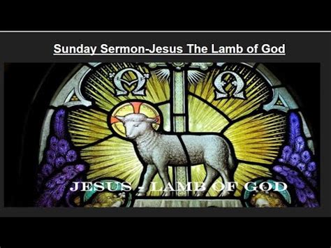 Jesus Is The Lamb of God Sermon – John 1 | Unashamed of Jesus