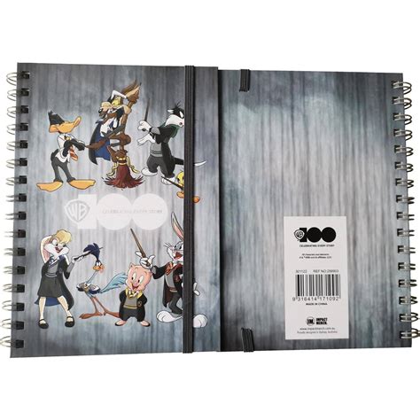 Warner Bros Wb100 Looney Tunes Harry Potter A5 Wire Notebook Each