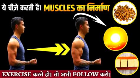 Muscles Muscles Gain Food And Habitskush