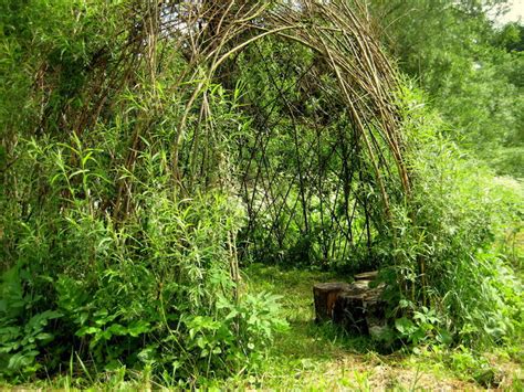 Structure végétale en saule tressé 20 idées de déco de jardin vivante