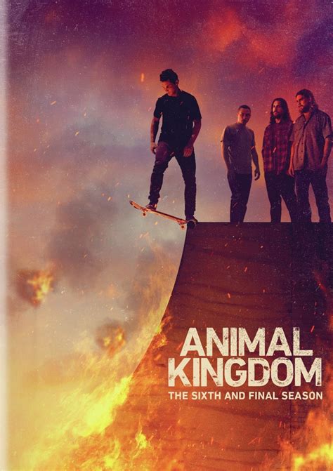 Best Buy: Animal Kingdom: Season 6