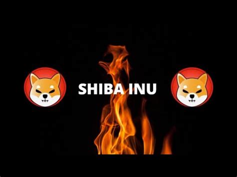 SHIBA INU COIN MASSIVE CATALYST BUY REASON SHIBA TO THE MOON SHIBA