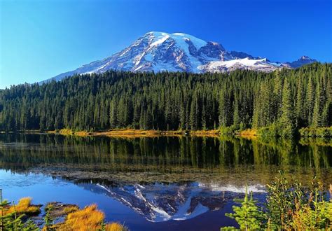 Mount Rainier National Park – VisitToUSA