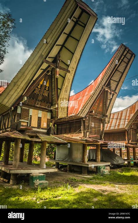 Large Ancestral Houses Also Called Tongkonans Typical Of Large Roofs