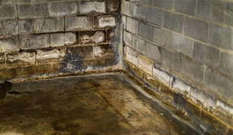 The Cost Of Ignoring Basement Leaks Why Investing In Waterproofing Is