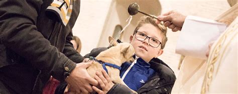 Paseillo Es Bendici N De Las Mascotas Por La Festividad De San Ant N