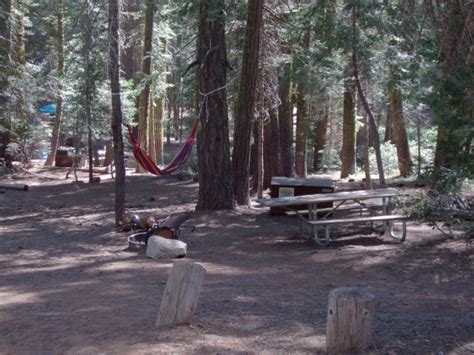 Crane Flat Campground Yosemite National Park Site 420