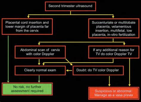 Vasa Previa Definition Causes Symptoms Diagnosis Ultrasound And Management