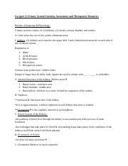 GU Medical Surgical Docx Gu Part I Urinary System Function