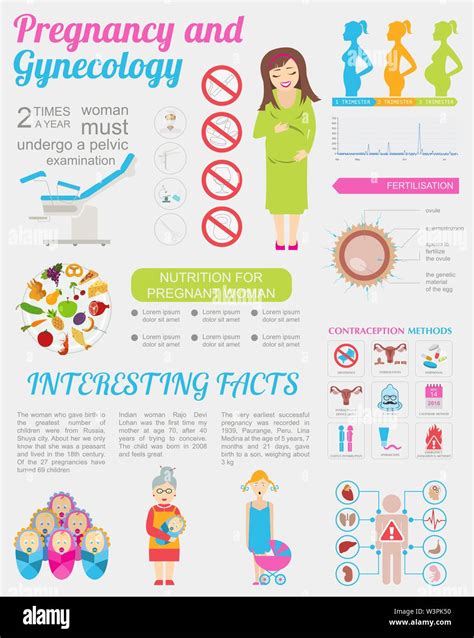 Gynecology And Pregnancy Infographic Template Motherhood Elements