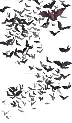 Swarm of Bats by DavidDarkheartKing on deviantART