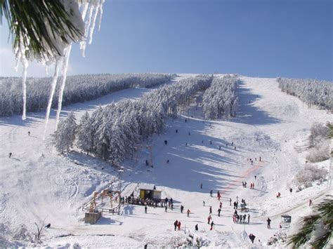 Ski Resorts of Serbia are helping the development of skiing on Goč