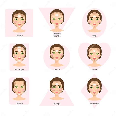 Set Of Different Woman Face Types Vector Illustration Character Shapes