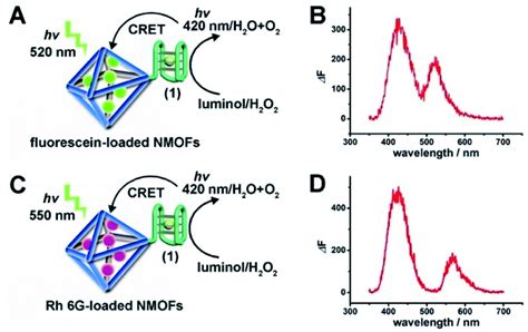 Multiplexed And Amplified Chemiluminescence Resonance Energy Transfer