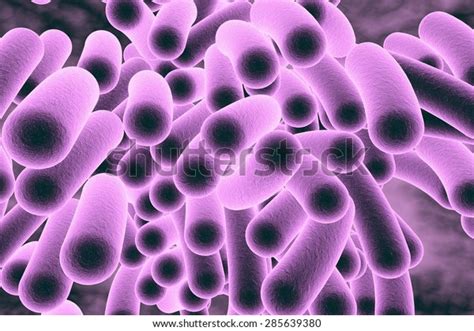 Threedimensional Drawing Rodshaped Bacteria Model Bacteria Stock