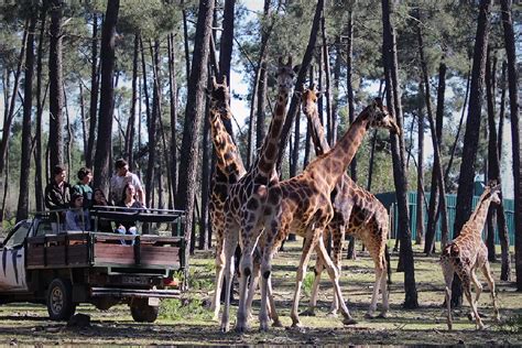 Parques Temáticos Em Portugal Diversão Para Todas As Idades