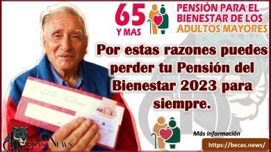 Pensi N Bienestar Requisitos Para Recibir La Pension Del Bienestar