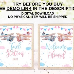 Editable Airplane Gender Reveal Bundle Signs Custom Sign Printable Pink