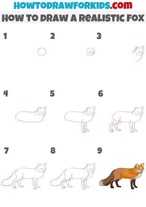 How To Draw A Realistic Fox Step By Step