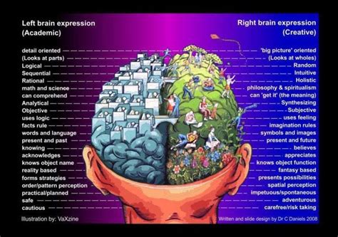 Are great developers both left and right brain expressive? - /* steve ...