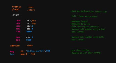 Hello World In X86 Assembly Language Tech View 71