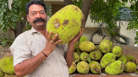 Raw Jack Fruit Seller Of Rajahmundry Jack Fruit Powder Biryani