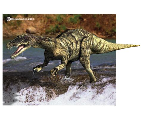 Baryonyx | Prehistoric Wiki | FANDOM powered by Wikia