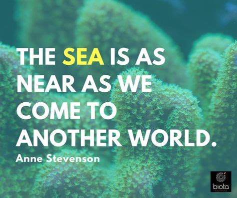 8 Ocean Quotes: Words that Inspire Marine Conservation ideas | ocean ...