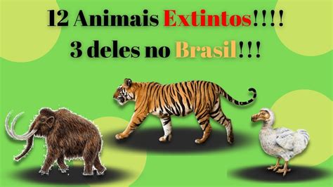 Lista De 12 Animais EXTINTOS 3 Deles No BRASIL YouTube