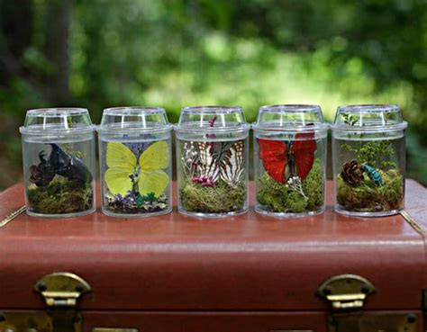 The Amateur Naturalist Cranial Hiccups