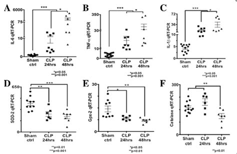 Quantitative Real Time Pcr Of Pro Inflammatory Cytokines Tnf α Il 1