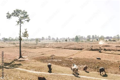 Venezuela In Hot Dry Summers