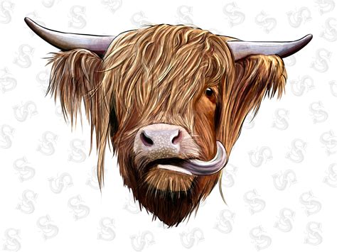 Highland Cow Png | ubicaciondepersonas.cdmx.gob.mx