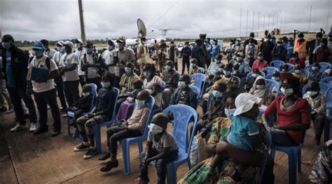 News Hopeful Central African Refugees Return Home From Dr Congo