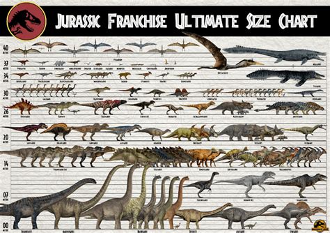 Ultimate Jw Size Chart Rjurassicworld