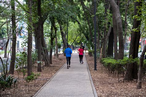 Los Parques En Cdmx M S Bonitos Etn