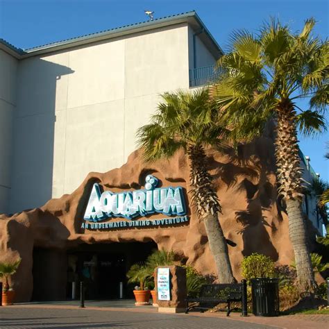 Aquarium Kemah Restaurant Kemah Tx Opentable