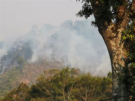 Cuerpos De Socorro Combaten 39 Incendios Forestales En Guatemala