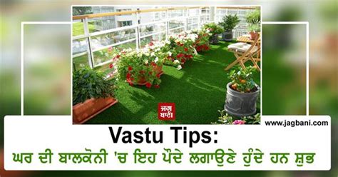 Vastu Tips ਘਰ ਦੀ ਬਾਲਕੋਨੀ ਚ ਇਹ ਪੌਦੇ ਲਗਾਉਣੇ ਹੁੰਦੇ ਹਨ ਸ਼ੁਭ