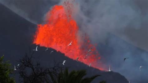 Mauna Loa o que está acontecendo dentro do maior vulcão ativo do mundo