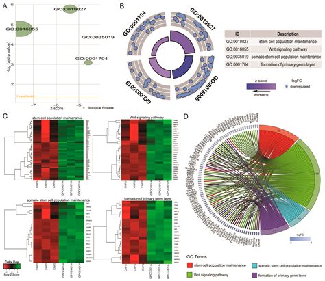 Single Cell Rna Seq Identifies Unique Transcriptional Off