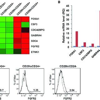 Gene Expression Profiles Of Breast TICs And Non TICs Revealed That