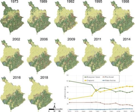 What's driving tropical deforestation? Scientists map 45 years of ...