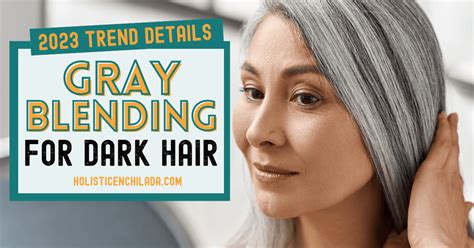 Gray Blending For Dark Hair In Trend Details