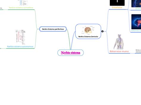 Nerbio Sistema Carte Mentale