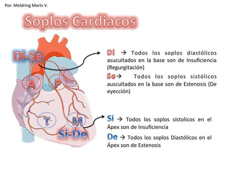 Soplos Cardiacos Medilove Udocz