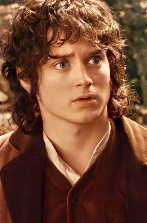 Lord Of The Rings Return Of The King Frodo Baggins Artofit