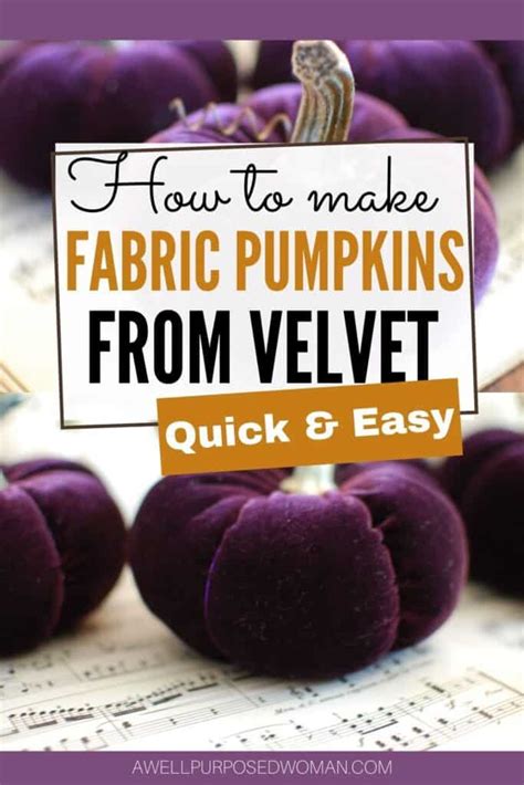 How To Make Velvet Pumpkins With Real Pumpkin Stems A Well Purposed Woman