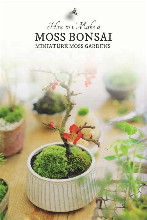 Make A Miniature Moss Bonsai Garden Artofit