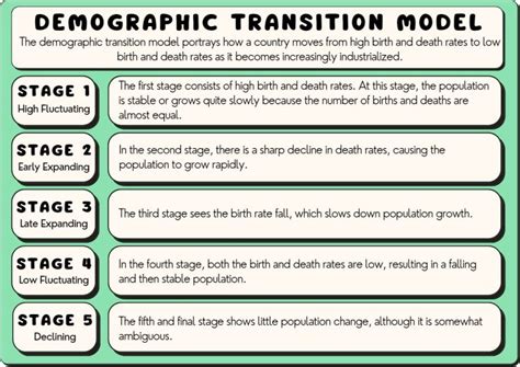 All 5 Demographic Transition Model Stages, Explained (2025)